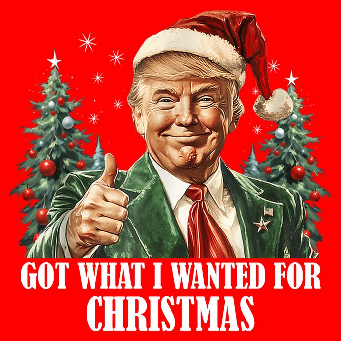 Got What I Wanted For Christmas Donald Trump Button