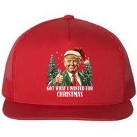 Got What I Wanted For Christmas Donald Trump Flat Bill Trucker Hat