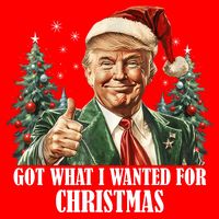 Got What I Wanted For Christmas Donald Trump Flat Bill Trucker Hat