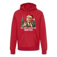 Got What I Wanted For Christmas Donald Trump Premium Hoodie