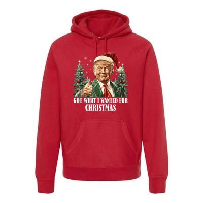 Got What I Wanted For Christmas Donald Trump Premium Hoodie