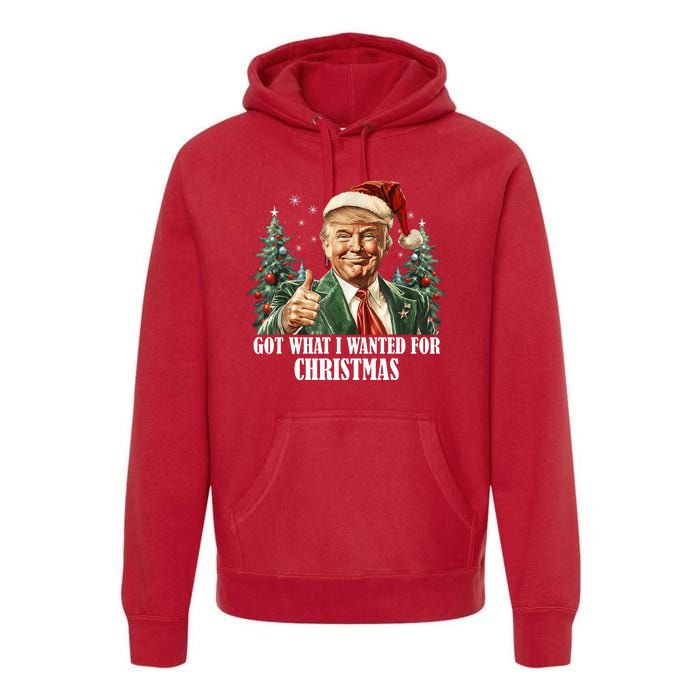 Got What I Wanted For Christmas Donald Trump Premium Hoodie