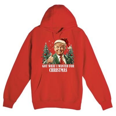 Got What I Wanted For Christmas Donald Trump Premium Pullover Hoodie