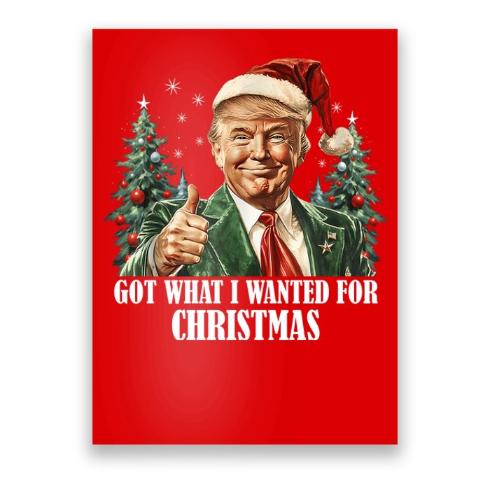 Got What I Wanted For Christmas Donald Trump Poster