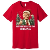 Got What I Wanted For Christmas Donald Trump Premium T-Shirt