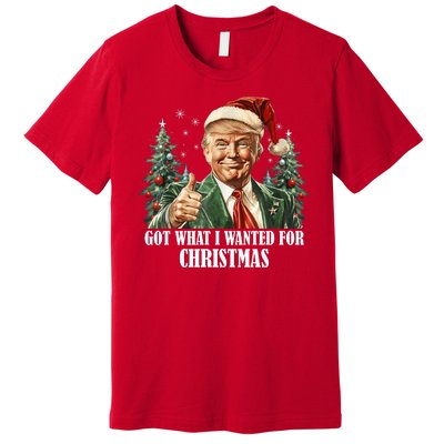 Got What I Wanted For Christmas Donald Trump Premium T-Shirt