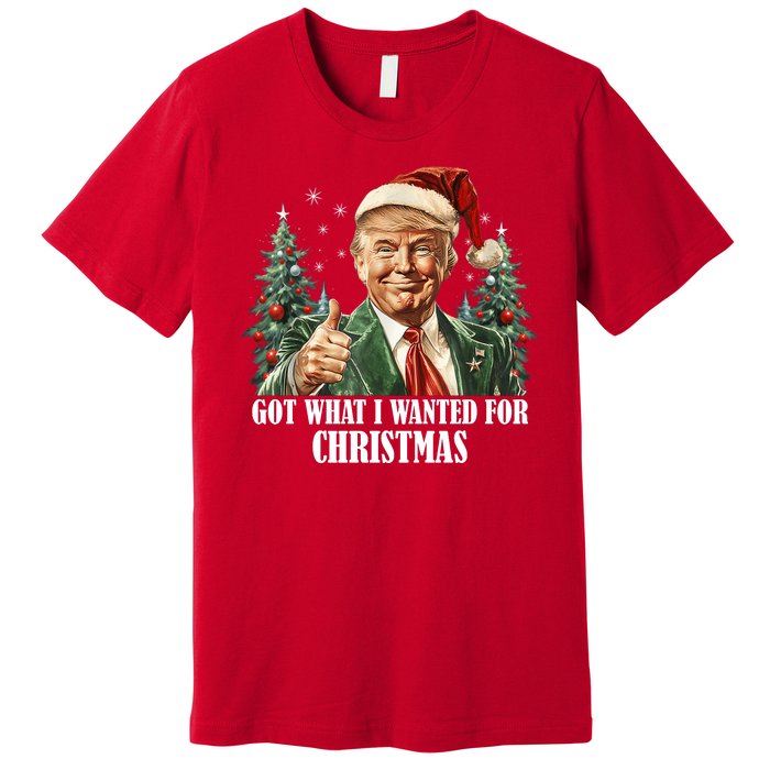 Got What I Wanted For Christmas Donald Trump Premium T-Shirt