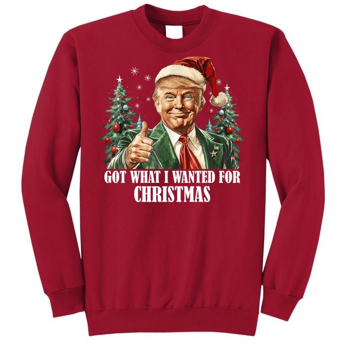 Got What I Wanted For Christmas Donald Trump Tall Sweatshirt