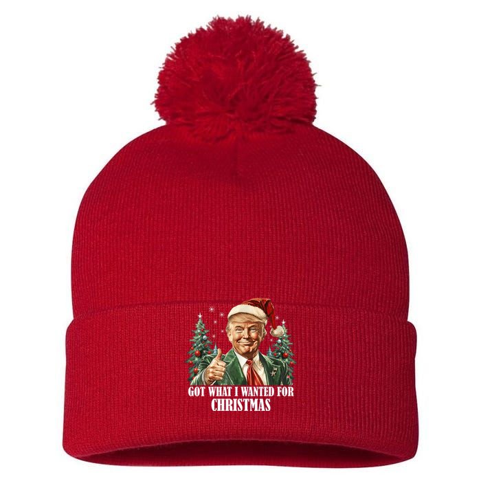 Got What I Wanted For Christmas Donald Trump Pom Pom 12in Knit Beanie