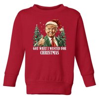 Got What I Wanted For Christmas Donald Trump Toddler Sweatshirt