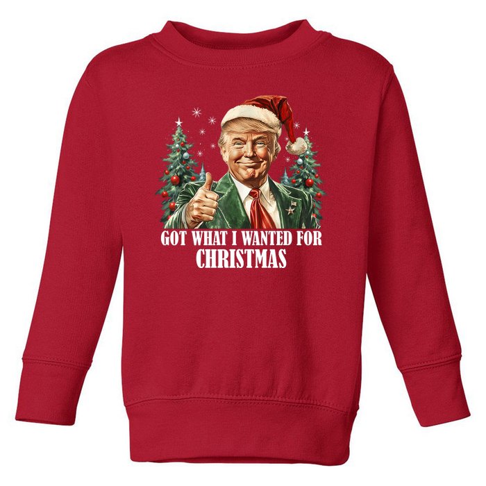 Got What I Wanted For Christmas Donald Trump Toddler Sweatshirt