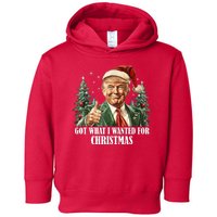 Got What I Wanted For Christmas Donald Trump Toddler Hoodie