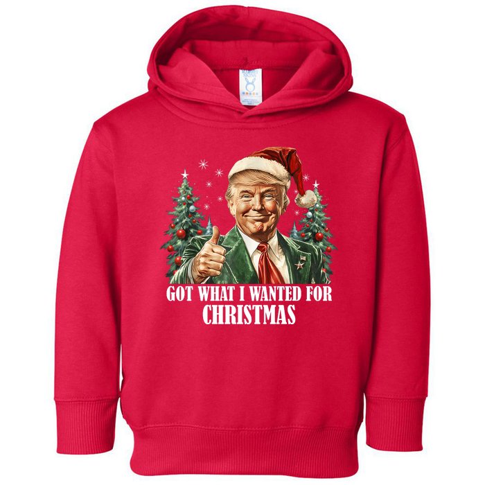 Got What I Wanted For Christmas Donald Trump Toddler Hoodie