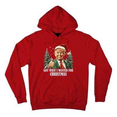 Got What I Wanted For Christmas Donald Trump Tall Hoodie