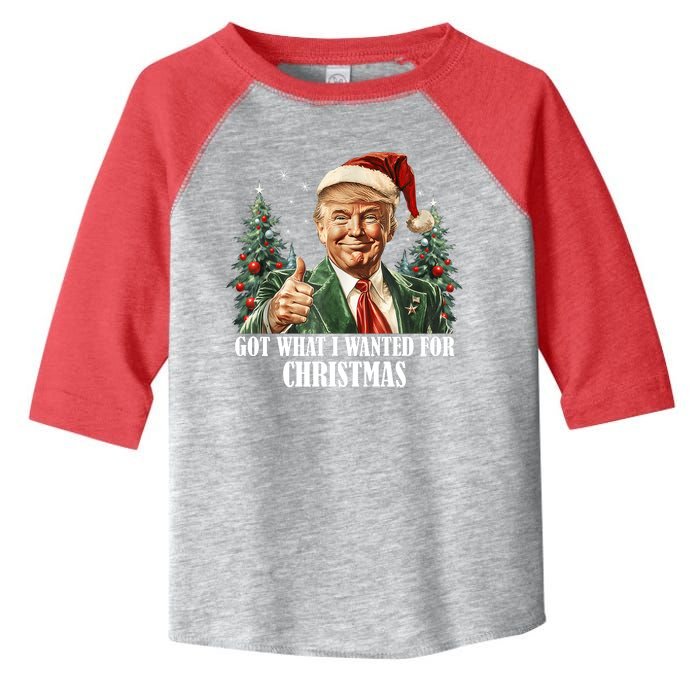 Got What I Wanted For Christmas Donald Trump Toddler Fine Jersey T-Shirt