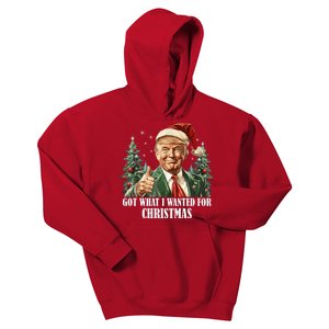 Got What I Wanted For Christmas Donald Trump Kids Hoodie