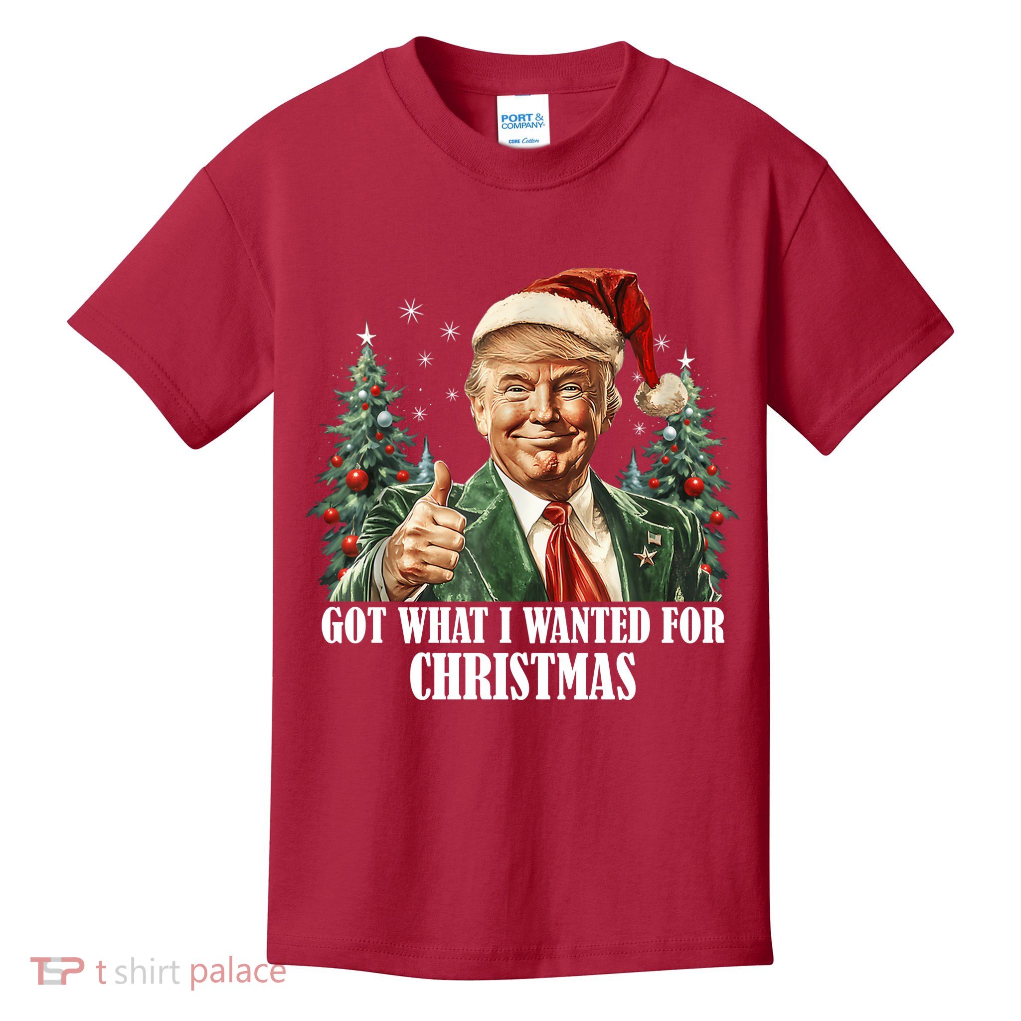 Got What I Wanted For Christmas Donald Trump Kids T-Shirt