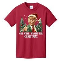 Got What I Wanted For Christmas Donald Trump Kids T-Shirt