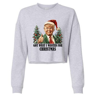 Got What I Wanted For Christmas Donald Trump Cropped Pullover Crew