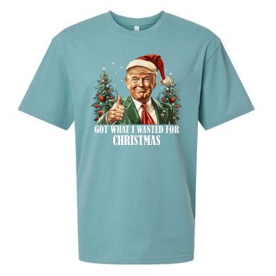 Got What I Wanted For Christmas Donald Trump Sueded Cloud Jersey T-Shirt