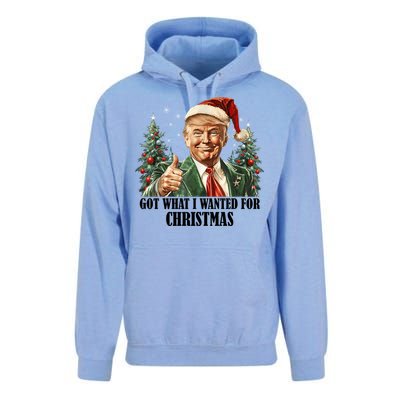 Got What I Wanted For Christmas Donald Trump Unisex Surf Hoodie