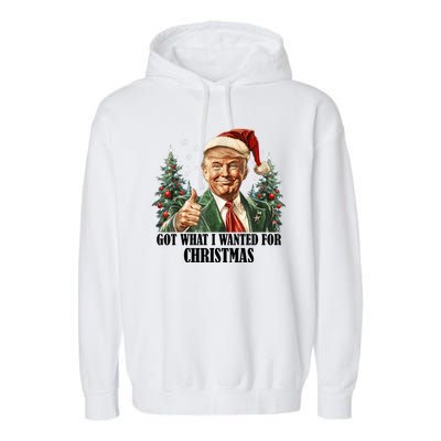 Got What I Wanted For Christmas Donald Trump Garment-Dyed Fleece Hoodie