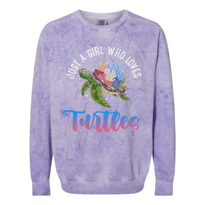 Girl Who Just Loves Turtles And Water And Sea Gift Colorblast Crewneck Sweatshirt