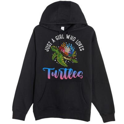Girl Who Just Loves Turtles And Water And Sea Gift Premium Pullover Hoodie