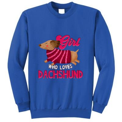 Girl Who Loves Dachshund Cute Puppy Dog Doggy Lover Gift Sweatshirt