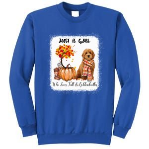 Girl Who Loves Fall And Goldendoodles Gift Sweatshirt