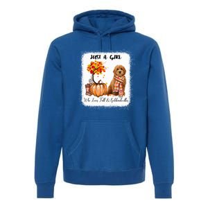 Girl Who Loves Fall And Goldendoodles Gift Premium Hoodie