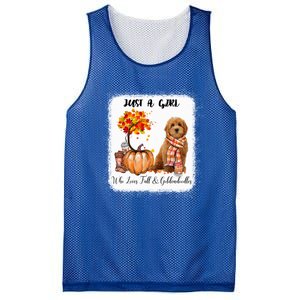 Girl Who Loves Fall And Goldendoodles Gift Mesh Reversible Basketball Jersey Tank