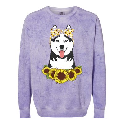 Girl Women Mom Siberian Husky Dog Sunflower Puppy Lover Colorblast Crewneck Sweatshirt