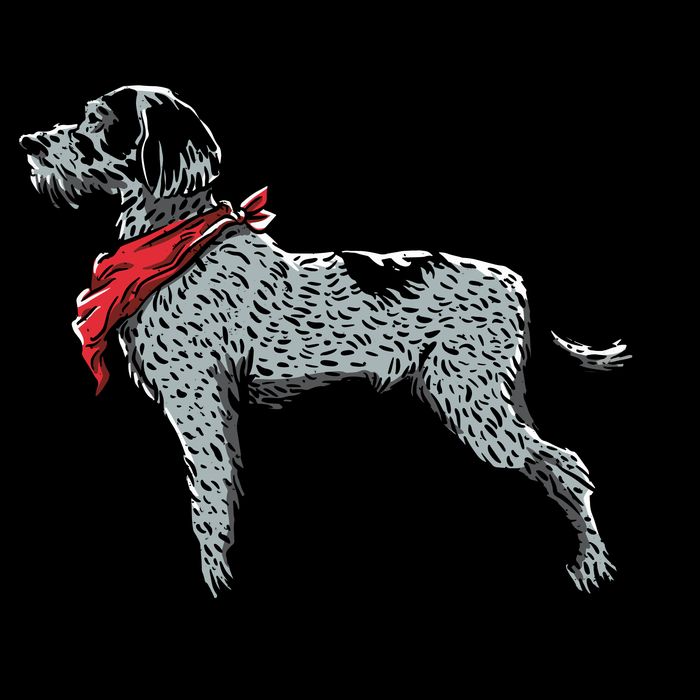 German Wirehaired Pointer Hooded Wearable Blanket