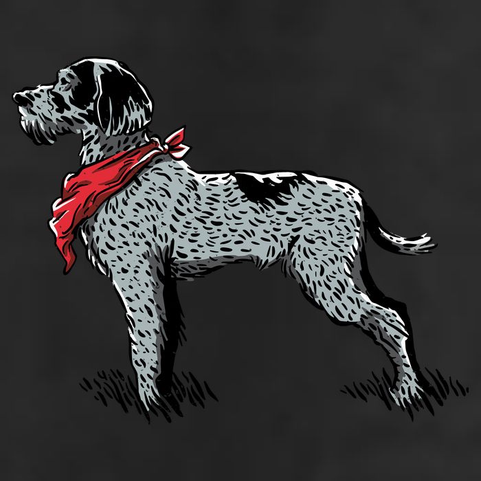 German Wirehaired Pointer Premium Pullover Hoodie