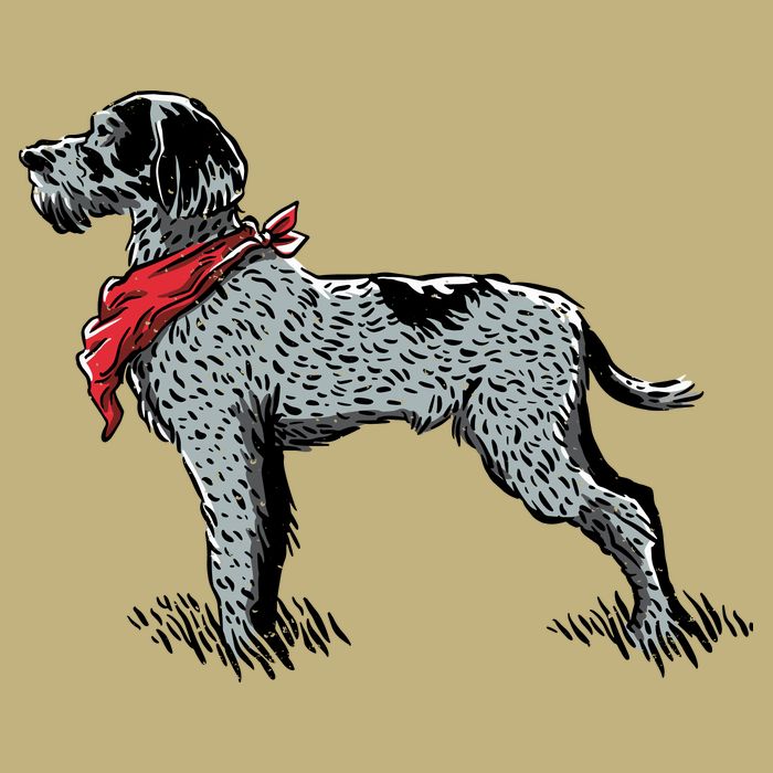 German Wirehaired Pointer Long Sleeve Shirt