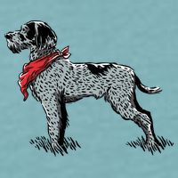 German Wirehaired Pointer Sueded Cloud Jersey T-Shirt
