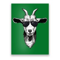 Goat With Sunglasses Poster