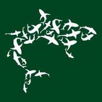 Great White Shark Lover Marine Biology Animal Science Hoodie