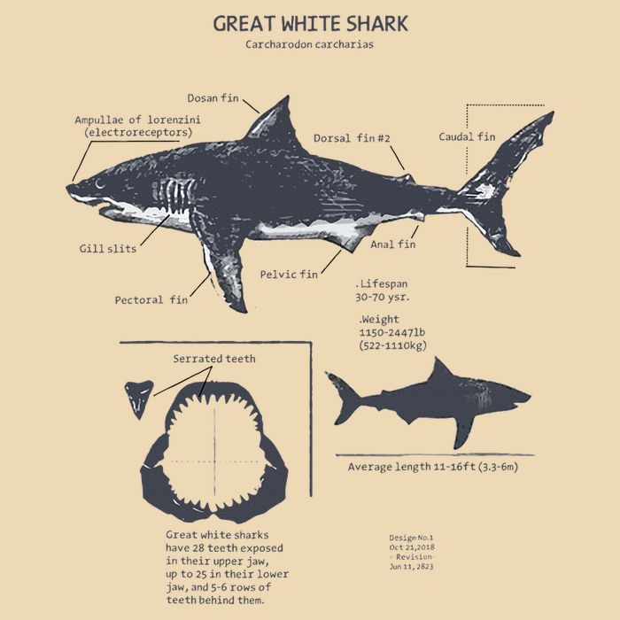 Great White Shark Anatomy Marine Biologist Zip Tote Bag