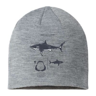 Great White Shark Anatomy Marine Biologist Sustainable Beanie