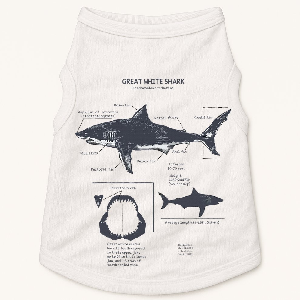 Great White Shark Anatomy Marine Biologist Doggie Tank