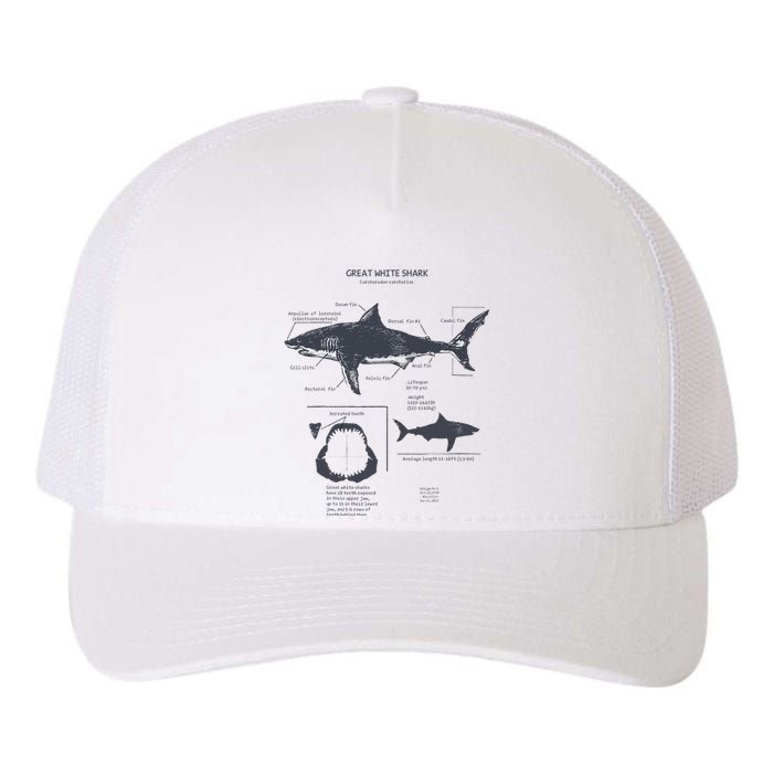 Great White Shark Anatomy Marine Biologist Yupoong Adult 5-Panel Trucker Hat