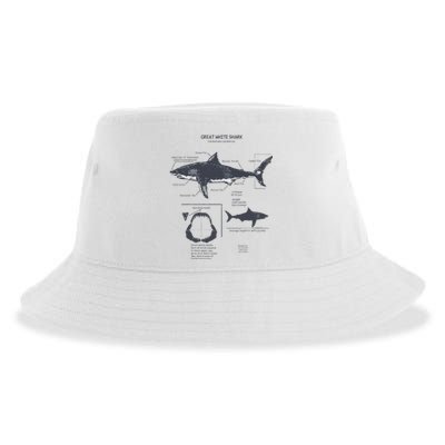 Great White Shark Anatomy Marine Biologist Sustainable Bucket Hat