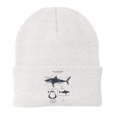 Great White Shark Anatomy Marine Biologist Knit Cap Winter Beanie