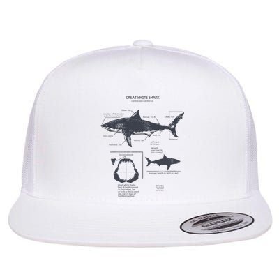 Great White Shark Anatomy Marine Biologist Flat Bill Trucker Hat