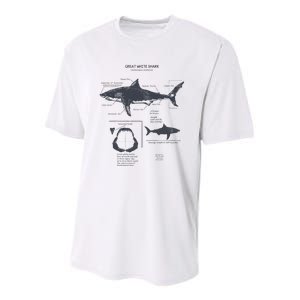 Great White Shark Anatomy Marine Biologist Youth Performance Sprint T-Shirt