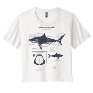 Great White Shark Anatomy Marine Biologist Women's Crop Top Tee