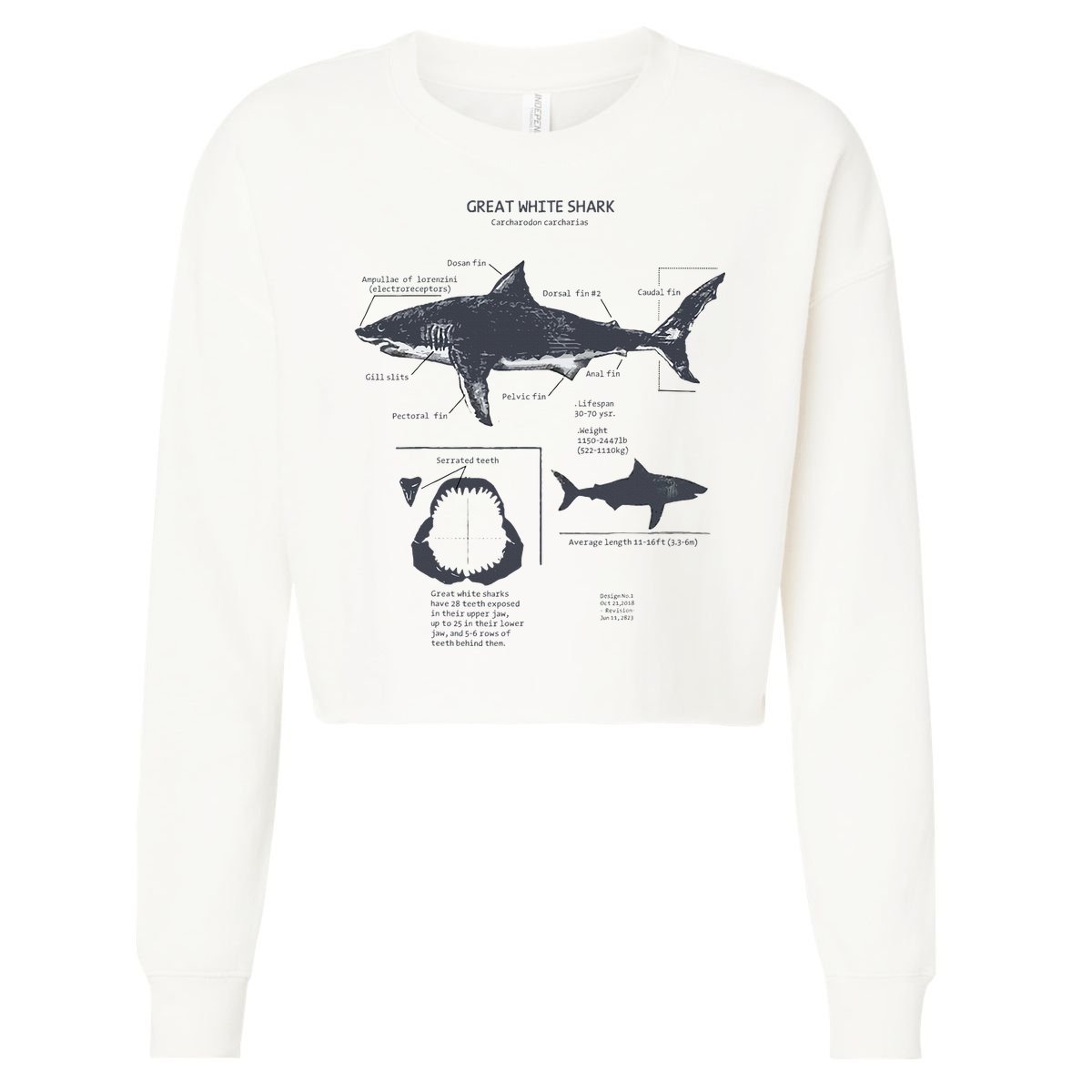 Great White Shark Anatomy Marine Biologist Cropped Pullover Crew