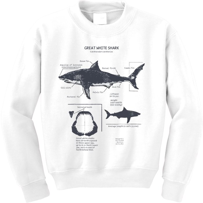 Great White Shark Anatomy Marine Biologist Kids Sweatshirt